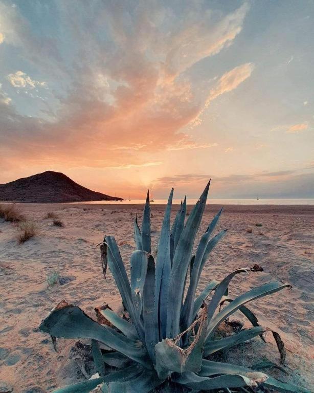 Magnífica casa con encanto en Agua Amarga Agua Amarga  Exterior foto