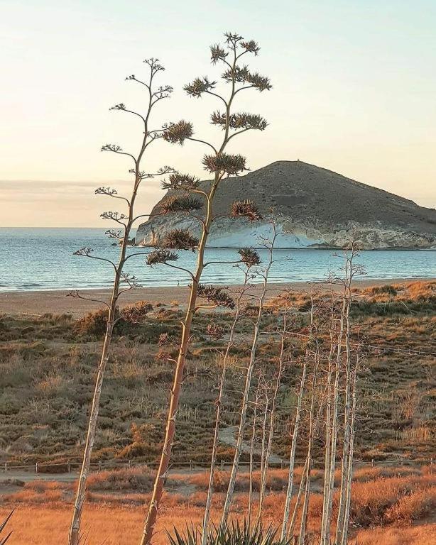 Magnífica casa con encanto en Agua Amarga Agua Amarga  Exterior foto